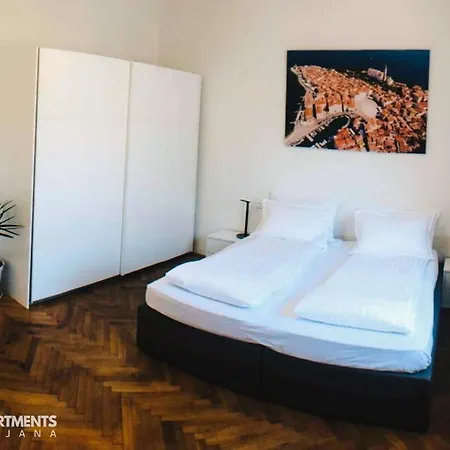 Huge Bbq Garden 2, Spacious Flat, Ac, Free Parking 2 Ljubljana Exterior photo