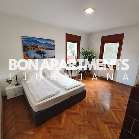 Huge Bbq Garden 2, Spacious Flat, Ac, Free Parking 2 Ljubljana Exterior photo