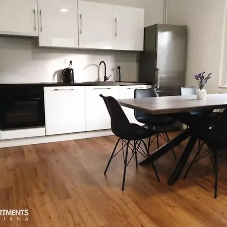 Huge Bbq Garden 2, Spacious Flat, Ac, Free Parking 2 Ljubljana Exterior photo