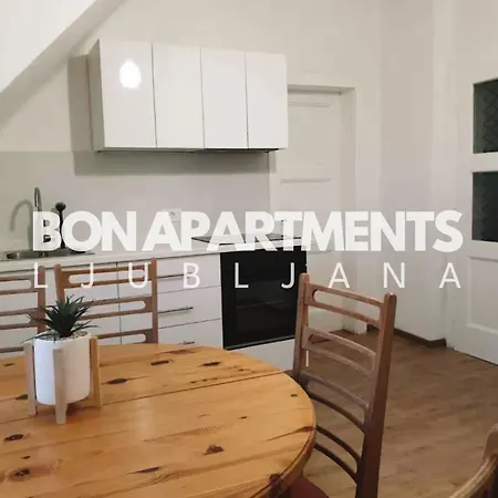 Huge Bbq Garden 2, Spacious Flat, Ac, Free Parking 2 Ljubljana Exterior photo
