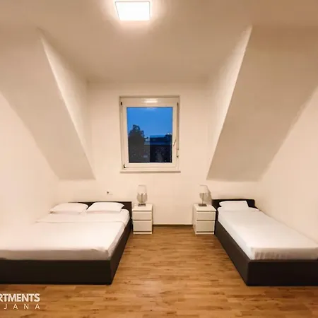 Huge Bbq Garden 2, Spacious Flat, Ac, Free Parking 2 Ljubljana Exterior photo