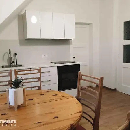 Huge Bbq Garden 2, Spacious Flat, Ac, Free Parking 2 Ljubljana Exterior photo